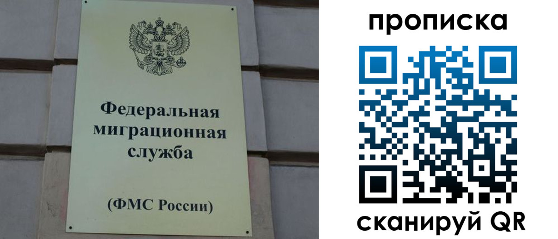 прописка поиск в Дигоре